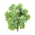 Künstliches Greiskraut - Henrike, 18 cm, Kunstpflanze von aplanta, Steckpflanze, in Natur, für drinnen
