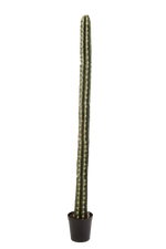 Künstlicher Kaktus - Hendrik, 206 cm, Kunstpflanze von aplanta, in Natur, für drinnen