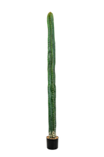 Künstlicher Kaktus - Henning, 180 cm, Kunstpflanze von aplanta, in Natur, für drinnen