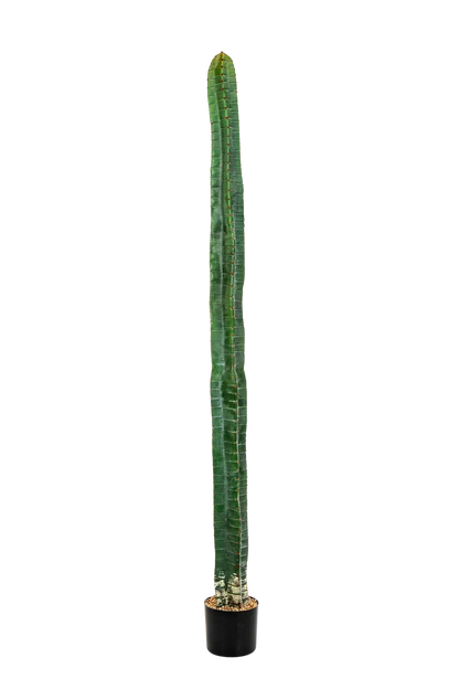 Künstlicher Kaktus - Henning, 180 cm, Kunstpflanze von aplanta, in Natur, für drinnen