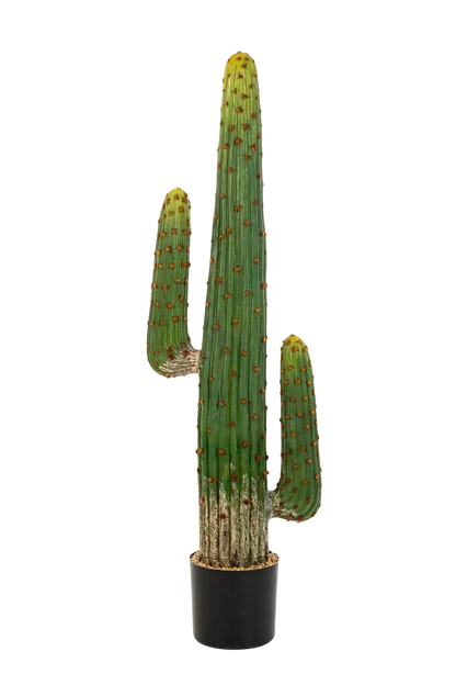 Künstlicher Kaktus - Hagen, 125 cm, Kunstpflanze von aplanta, in Natur, für drinnen