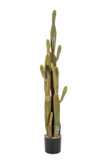 Künstlicher Kaktus - Heinz, 150 cm, Kunstbaum von aplanta, Real Touch, im schwarzen Topf, in Natur, für drinnen