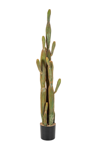 Künstlicher Kaktus - Heinz, 150 cm, Kunstbaum von aplanta, Real Touch, im schwarzen Topf, in Natur, für drinnen