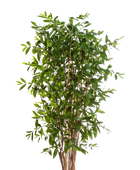 Künstlicher Drachenbaum - Ina | 240 cm