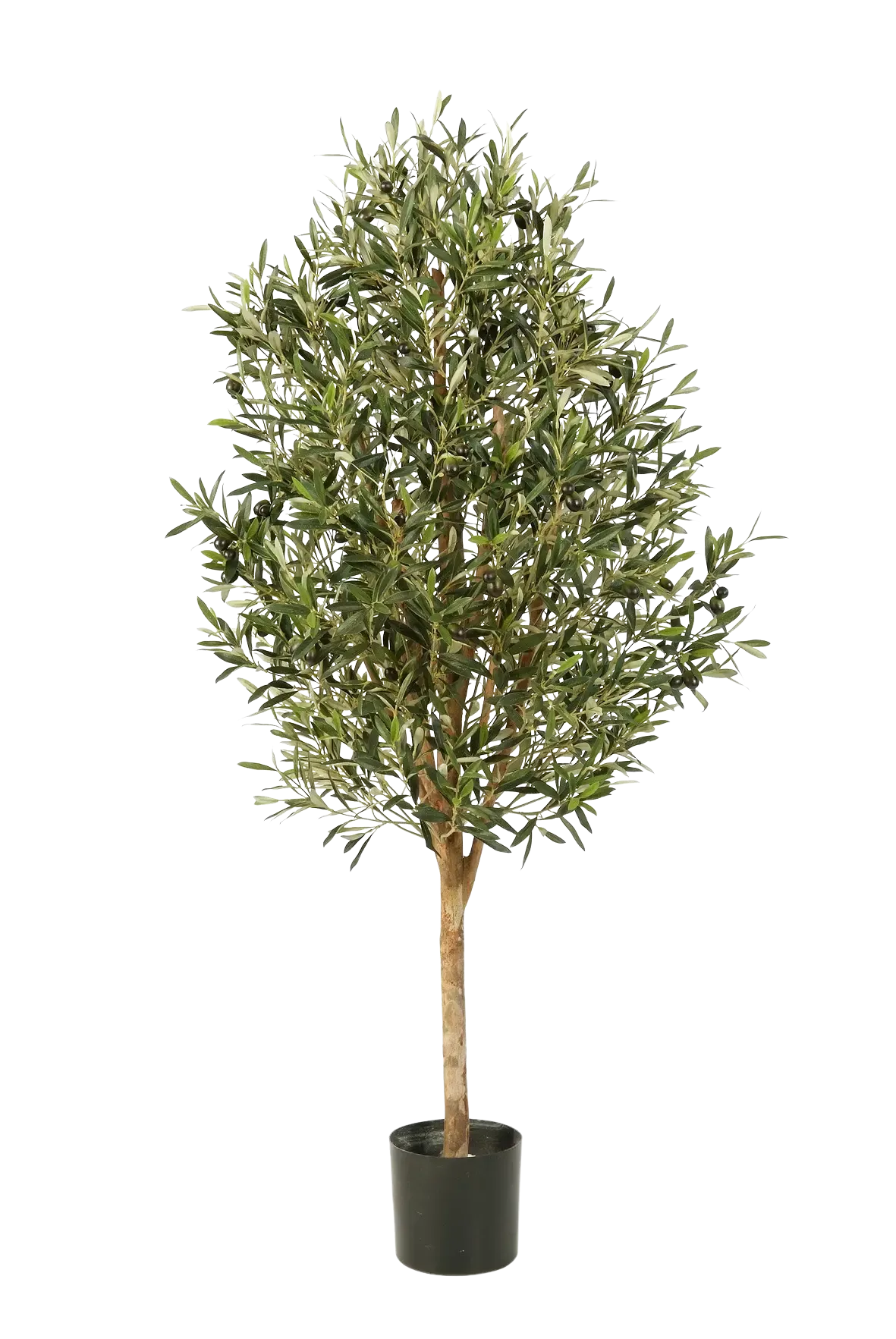 Künstlicher Olivenbaum - Callistus, 170 cm, Kunstbaum von aplanta, mit Echtholzstamm, UV-beständig, inkl. Startertopf