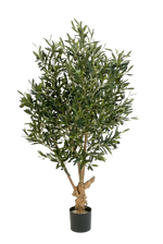 Hochwertiger Olivenbaum künstlich auf transparentem Hintergrund mit echt wirkenden Kunstblättern in natürlicher Anordnung. Künstlicher Olivenbaum - Ian hat die Farbe Natur und ist 120 cm hoch. | aplanta Kunstpflanzen