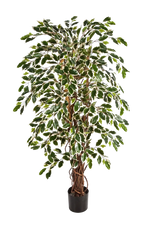 Künstlicher Ficus - Ravian, 150 cm, Kunstbaum von aplanta, mit Echtholzstamm, inkl. Startertopf, in Natur, für drinnen