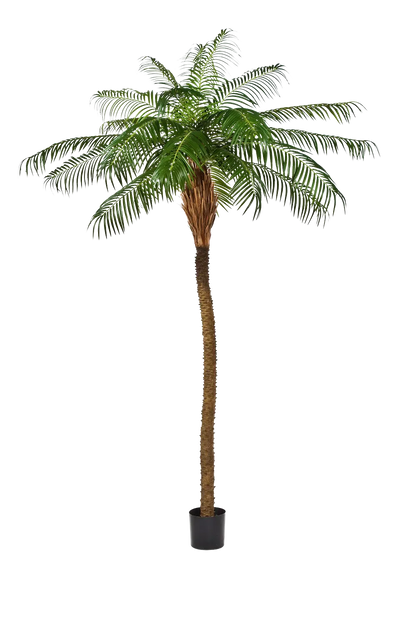 Künstliche Dattelpalme - Kaan, 280 cm, Kunstbaum von aplanta, in Natur, für drinnen
