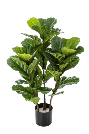 Künstliche Geigenfeige - Lena | 90 cm