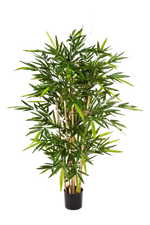 Hochwertiger Kunstbambus auf transparentem Hintergrund mit echt wirkenden Kunstblättern in natürlicher Anordnung. Künstlicher Bambus - Marlene hat die Farbe Natur und ist 210 cm hoch. | aplanta Kunstpflanzen