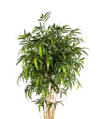 Hochwertiger Kunstbambus auf transparentem Hintergrund mit echt wirkenden Kunstblättern in natürlicher Anordnung. Künstlicher Bambus - Maxim hat die Farbe Natur und ist 300 cm hoch. | aplanta Kunstpflanzen