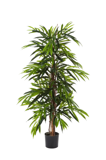 Künstliche Longifolia - Marvin, 210 cm, Kunstbaum von aplanta, in Natur, für drinnen