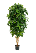 Künstliche Schefflera - Ove, 172 cm, Kunstbaum von aplanta, mit Echtholzstamm, in Natur, für drinnen