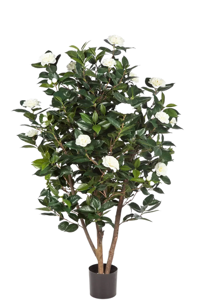 Künstliche japanische Kamelie - Patrice auf transparentem Hintergrund mit echt wirkenden Kunstblättern. Diese Kunstpflanze gehört zur Gattung/Familie der "Kamelien" bzw. "Kunst-Kamelien".