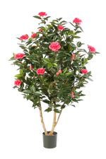 Künstliche japanische Kamelie - Phileas auf transparentem Hintergrund mit echt wirkenden Kunstblättern. Diese Kunstpflanze gehört zur Gattung/Familie der "Kamelien" bzw. "Kunst-Kamelien".