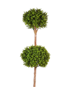 Hochwertiger Buchsbaum künstlich auf transparentem Hintergrund mit echt wirkenden Kunstblättern in natürlicher Anordnung. Künstlicher Buchsbaum - Ruben hat die Farbe Natur und ist 165 cm hoch. | aplanta Kunstpflanzen