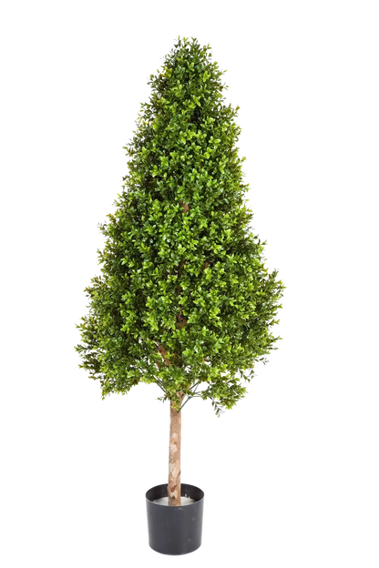 Künstlicher Buchsbaum - Rene, 105 cm, Kunstbaum von aplanta, im schwarzen Topf, in Natur, für drinnen