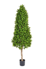 Künstlicher Buchsbaum - Rene, 170 cm, Kunstbaum von aplanta, im schwarzen Topf, in Natur, für drinnen