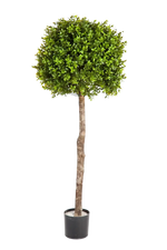 Künstlicher Buchsbaum - Rayan, 105 cm, Kunstbaum von aplanta, im schwarzen Topf, in Natur, für drinnen