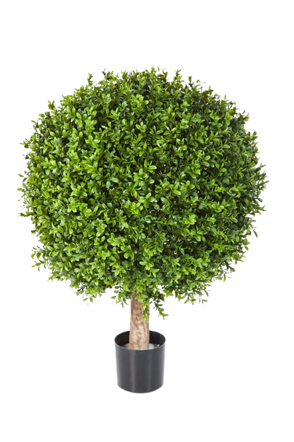 Künstlicher Buchsbaum - Rico, 85 cm, Kunstbaum von aplanta, in Natur, für drinnen