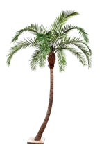 Künstliche Phoenixpalme - Simon, 300 cm, Kunstbaum von aplanta, in Natur, für drinnen
