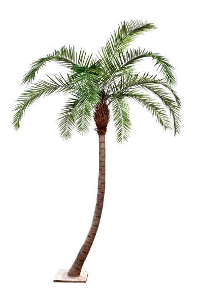 Künstliche Phoenixpalme - Simon, 300 cm, Kunstbaum von aplanta, in Natur, für drinnen
