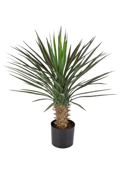 Künstliche Yucca Rostrata Palme - Sven, 82 cm, Kunstbaum von aplanta, in Natur, für drinnen