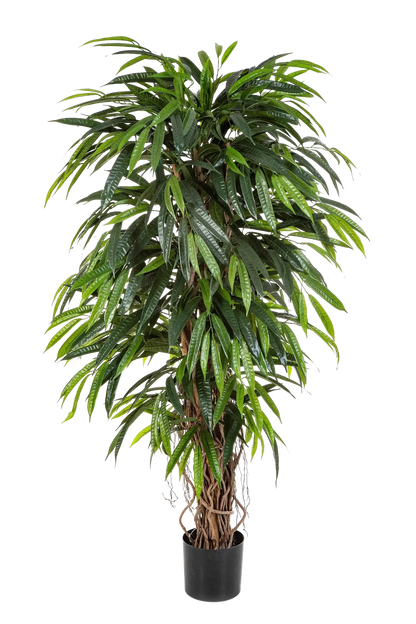 Künstliche Longifolia - Steven, 210 cm, Kunstbaum von aplanta, in Natur, für drinnen