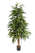 Künstliche Longifolia - Steffen, 210 cm, Kunstbaum von aplanta, in Natur, für drinnen
