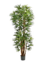 Künstliche Palme - Sören, 210 cm, Kunstbaum von aplanta, in Natur, für drinnen