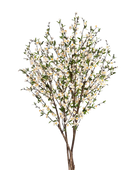 Künstlicher Kirschbaum - Willi auf transparentem Hintergrund mit echt wirkenden Kunstblättern in natürlicher Anordnung. Künstlicher Kirschbaum - Willi hat die Farbe Creme und ist 140 cm hoch. | aplanta Kunstpflanzen