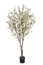 Künstlicher Kirschbaum - Willi auf transparentem Hintergrund mit echt wirkenden Kunstblättern in natürlicher Anordnung. Künstlicher Kirschbaum - Willi hat die Farbe Creme und ist 140 cm hoch. | aplanta Kunstpflanzen