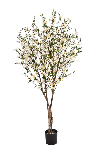 Künstlicher Kirschbaum - Willi auf transparentem Hintergrund mit echt wirkenden Kunstblättern in natürlicher Anordnung. Künstlicher Kirschbaum - Willi hat die Farbe Creme und ist 140 cm hoch. | aplanta Kunstpflanzen