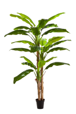 Künstlicher Bananenbaum - Pauline, 300 cm, Kunstbaum von aplanta, im schwarzen Topf, in Natur, für drinnen