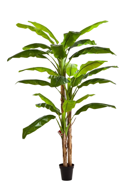 Künstlicher Bananenbaum - Pauline, 300 cm, Kunstbaum von aplanta, im schwarzen Topf, in Natur, für drinnen