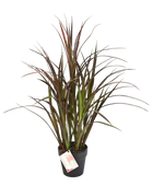 Hochwertiges Kunstgras auf transparentem Hintergrund mit echt wirkenden Kunstblättern in natürlicher Anordnung. Künstliches Grass - Rote Oceane hat die Farbe Rot und ist 75 cm hoch. | aplanta Kunstpflanzen