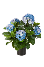 Künstliche Hortensie - Naomi, 53 cm, Kunstpflanze von aplanta, in Blau, für drinnen