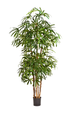 Künstliche Steckenpalme - Nela, 200 cm, Kunstbaum von aplanta, in Natur, für drinnen
