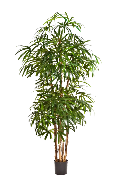Künstliche Steckenpalme - Nela, 230 cm, Kunstbaum von aplanta, in Natur, für drinnen