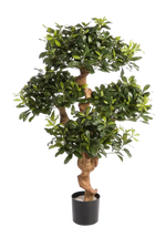 Künstlicher Pittosporum - Pierre, 120 cm, Kunstbaum von aplanta, im schwarzen Topf, in Natur, für drinnen
