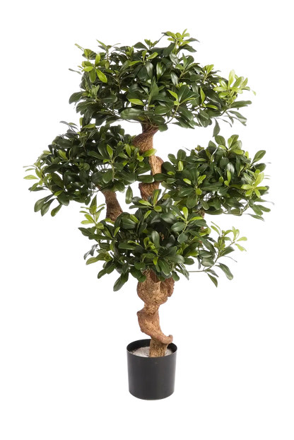 Künstlicher Pittosporum - Pierre, 120 cm, Kunstbaum von aplanta, im schwarzen Topf, in Natur, für drinnen