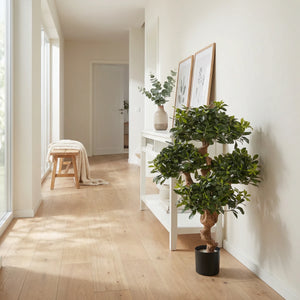 Pittosporum artificial - Pierre | 120 cm