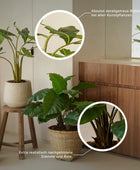 Flor artificial flamenco - planta plug - Nora | 56 cm