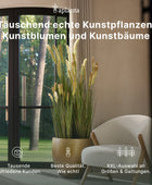 Künstlicher Bogenhanf - Leandro | 75 cm