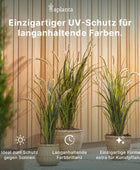 Künstliche Areca Palme - Rudolf | 150 cm