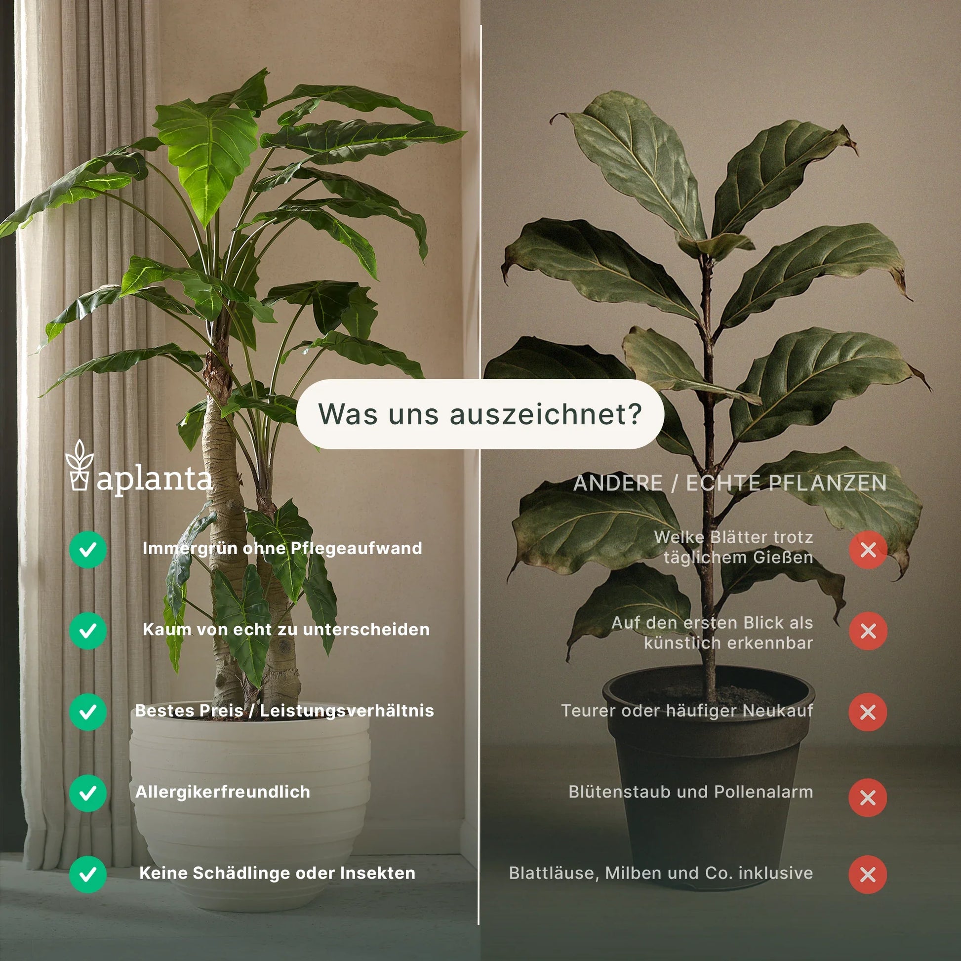 Ficus artificial - Kathleen | 210 cm