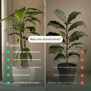 Rama de magnolia artificial - Lea | 80 cm
