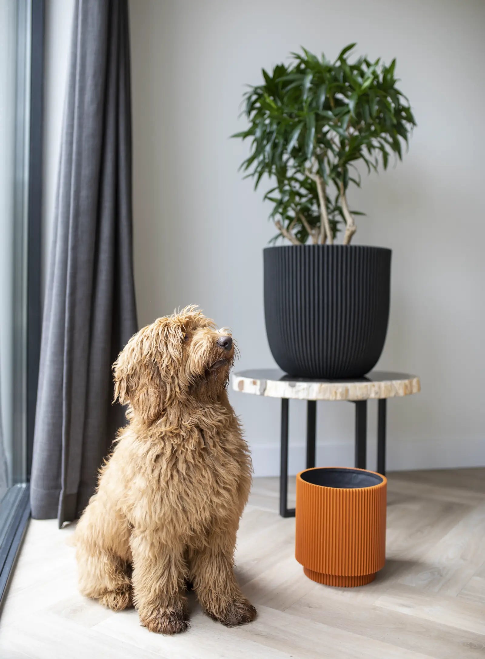 Blumentopf Kugel Groove schwarz | 43x41 cm