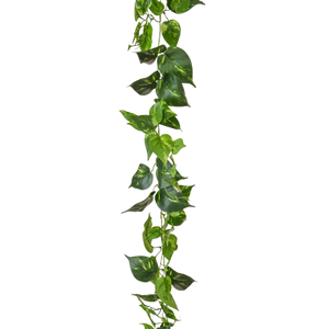 Guirnalda de pothos artificial - Christian | 220 cm