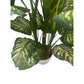 Künstliche Dieffenbachia – Mirella | 90 cm